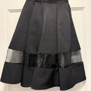 Gorgeous A-line Express Skirt in Black with Sheer Panel